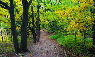 Exploring Autumn Beauty