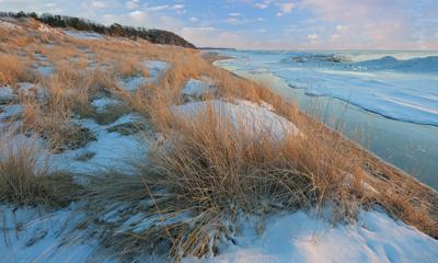 Snowy Adventures in Saugatuck